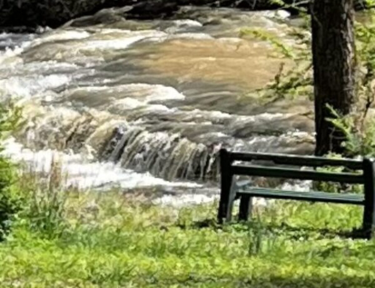 walkingingloryandgrace.com