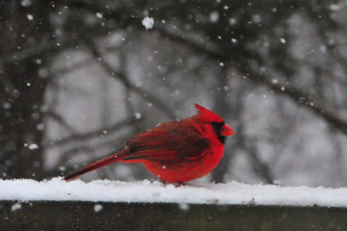 walkingingloryandgrace.com